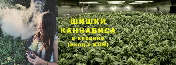 ECSTASY Армянск