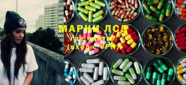гашик Аркадак