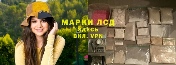 гашик Аркадак