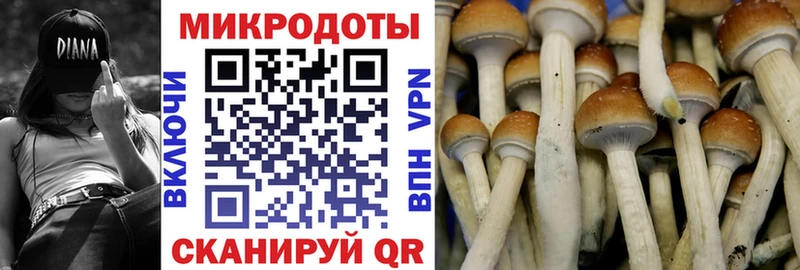 Галлюциногенные грибы прущие грибы Купить где Звенигород